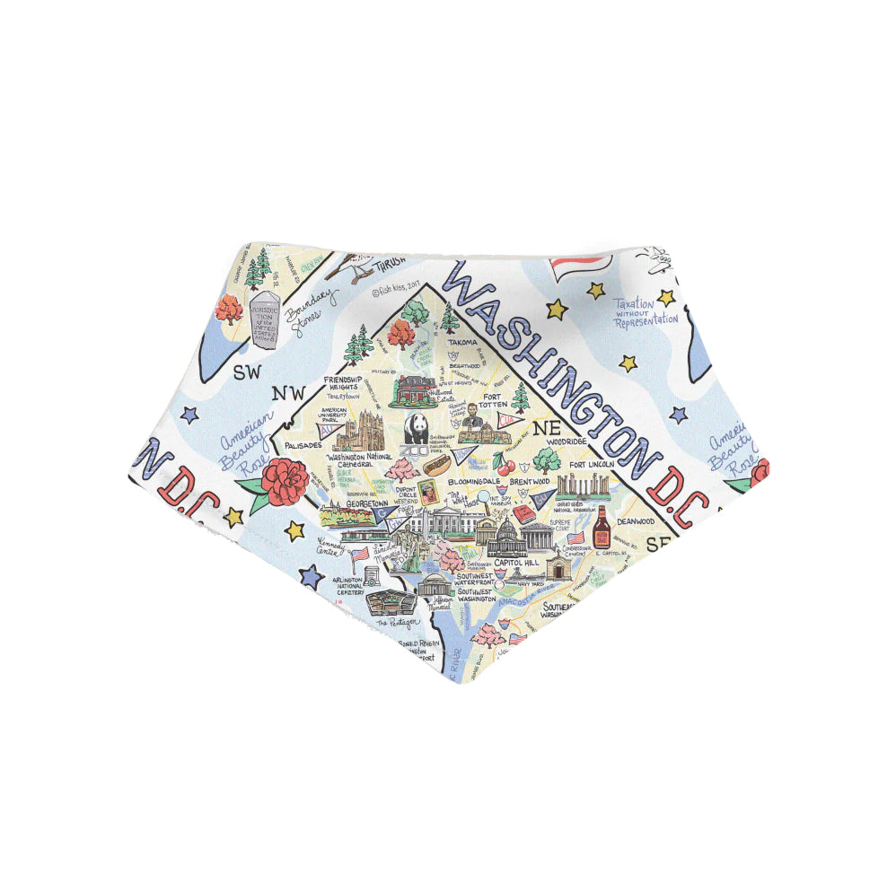 Washington DC Baby Bandana Bib
