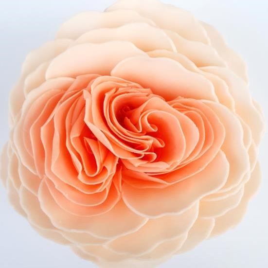 Petal Soap Serendipity Rose